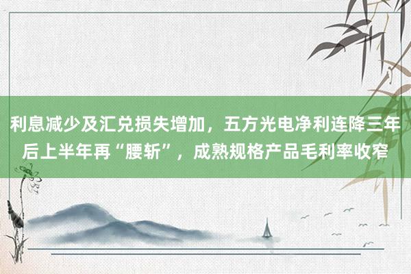 利息减少及汇兑损失增加，五方光电净利连降三年后上半年再“腰斩”，成熟规格产品毛利率收窄