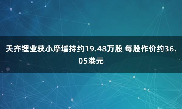 天齐锂业获小摩增持约19.48万股 每股作价约36.05港元