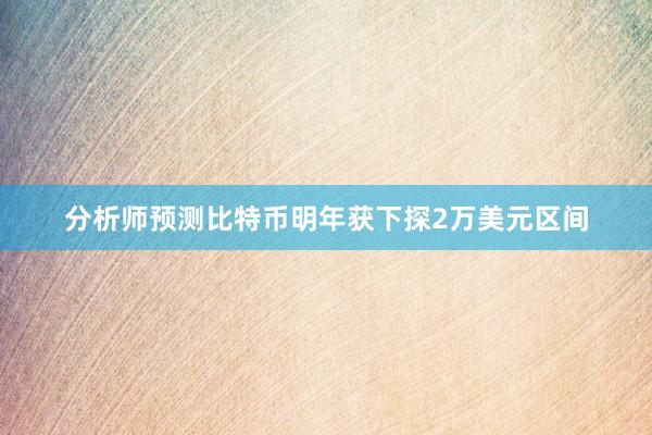 分析师预测比特币明年获下探2万美元区间