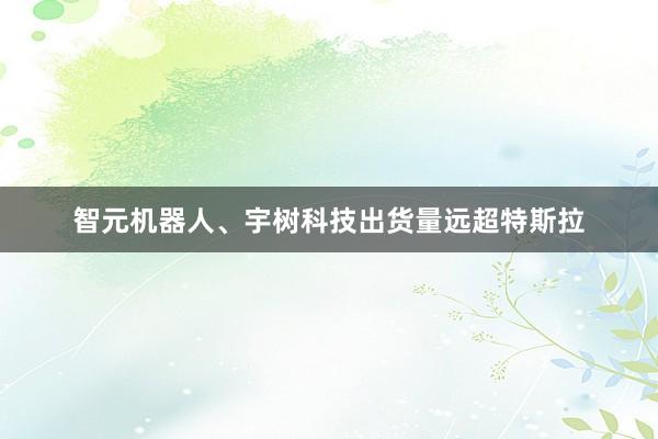 智元机器人、宇树科技出货量远超特斯拉