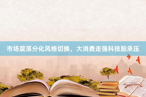 市场震荡分化风格切换，大消费走强科技股承压