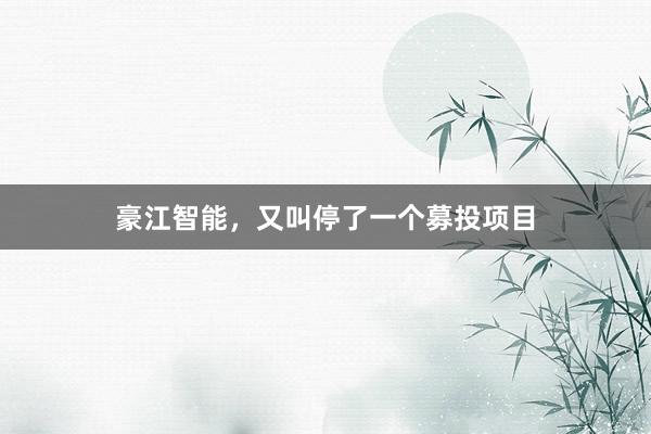 豪江智能，又叫停了一个募投项目