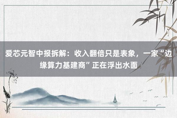 爱芯元智中报拆解：收入翻倍只是表象，一家“边缘算力基建商”正在浮出水面