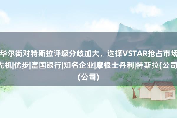 华尔街对特斯拉评级分歧加大，选择VSTAR抢占市场先机|优步|富国银行|知名企业|摩根士丹利|特斯拉(公司)