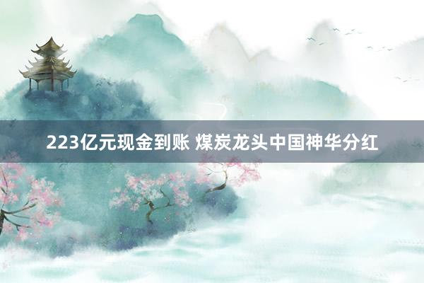 223亿元现金到账 煤炭龙头中国神华分红