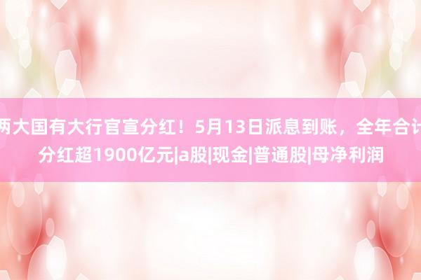 两大国有大行官宣分红！5月13日派息到账，全年合计分红超1900亿元|a股|现金|普通股|母净利润