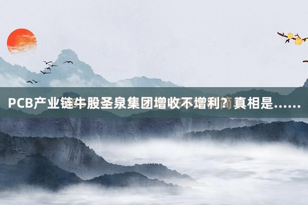 PCB产业链牛股圣泉集团增收不增利？真相是......