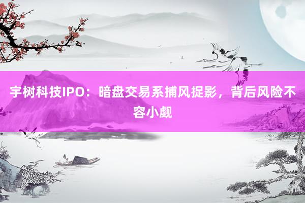 宇树科技IPO：暗盘交易系捕风捉影，背后风险不容小觑