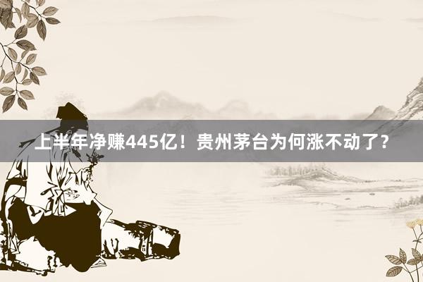 上半年净赚445亿！贵州茅台为何涨不动了？