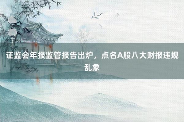 证监会年报监管报告出炉，点名A股八大财报违规乱象