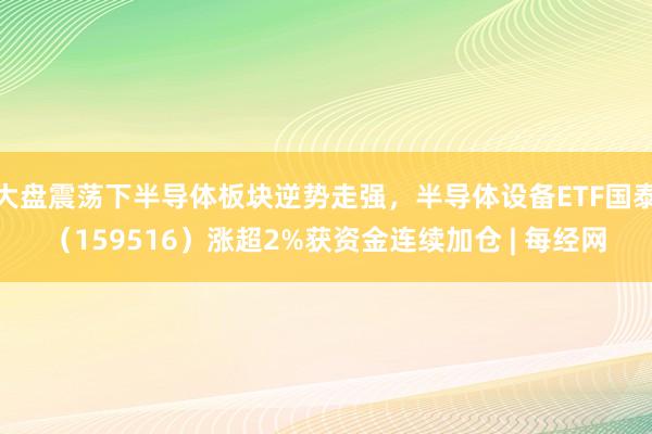 大盘震荡下半导体板块逆势走强，半导体设备ETF国泰（159516）涨超2%获资金连续加仓 | 每经网