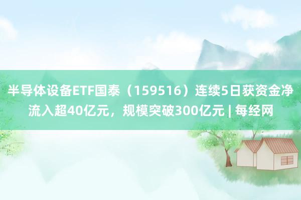 半导体设备ETF国泰（159516）连续5日获资金净流入超40亿元，规模突破300亿元 | 每经网