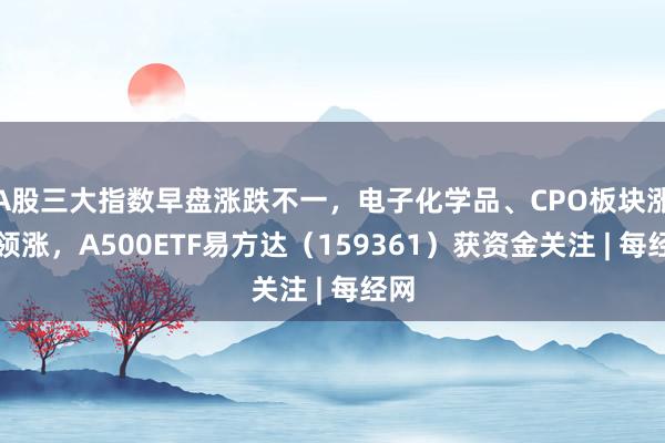 A股三大指数早盘涨跌不一，电子化学品、CPO板块涨幅领涨，A500ETF易方达（159361）获资金关注 | 每经网