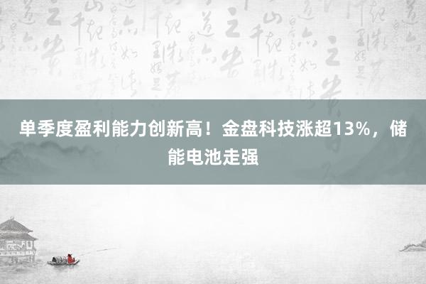 单季度盈利能力创新高！金盘科技涨超13%，储能电池走强