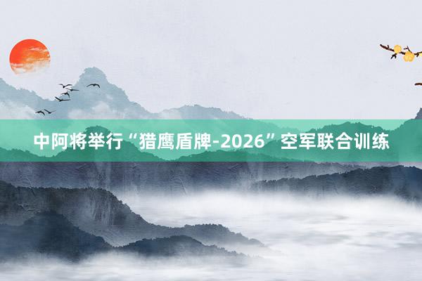 中阿将举行“猎鹰盾牌-2026”空军联合训练