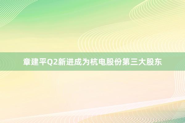 章建平Q2新进成为杭电股份第三大股东