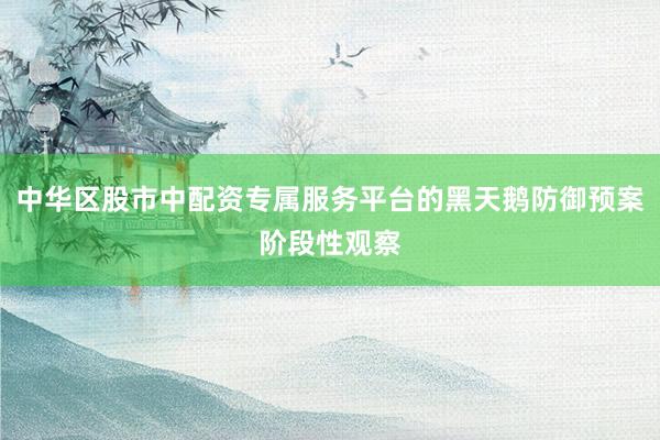 中华区股市中配资专属服务平台的黑天鹅防御预案阶段性观察