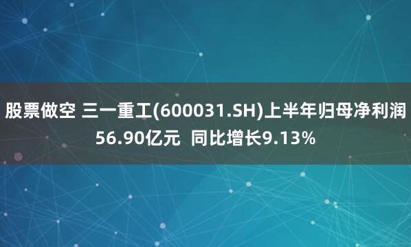 股票做空 三一重工(600031.SH)上半年归母净利润56.90亿元  同比增长9.13%