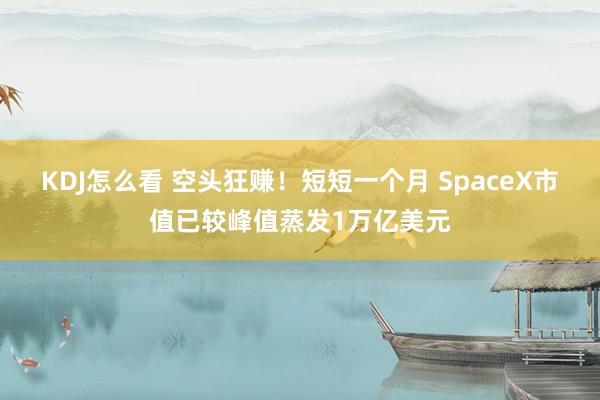 KDJ怎么看 空头狂赚！短短一个月 SpaceX市值已较峰值蒸发1万亿美元