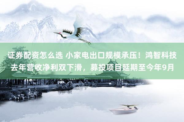 证券配资怎么选 小家电出口规模承压！鸿智科技去年营收净利双下滑，募投项目延期至今年9月
