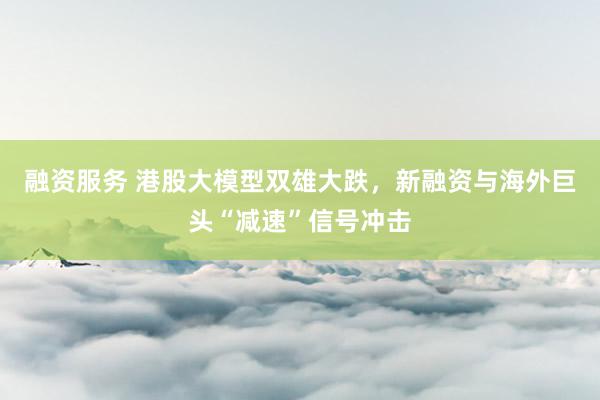 融资服务 港股大模型双雄大跌，新融资与海外巨头“减速”信号冲击