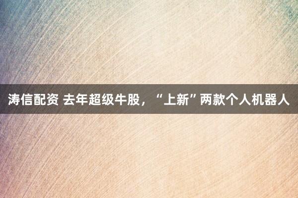 涛信配资 去年超级牛股，“上新”两款个人机器人