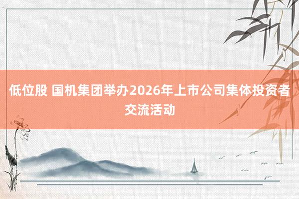 低位股 国机集团举办2026年上市公司集体投资者交流活动
