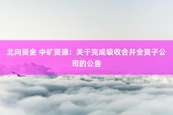 北向资金 中矿资源：关于完成吸收合并全资子公司的公告
