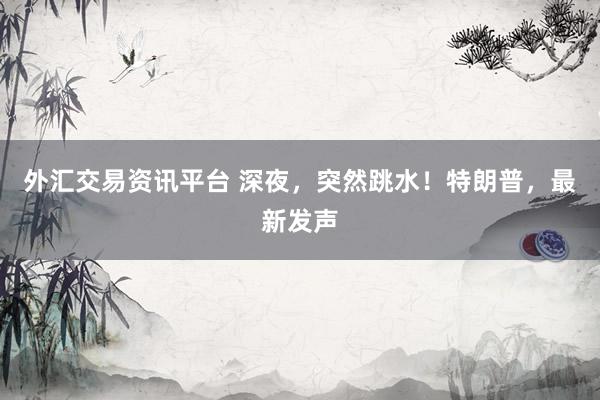 外汇交易资讯平台 深夜，突然跳水！特朗普，最新发声
