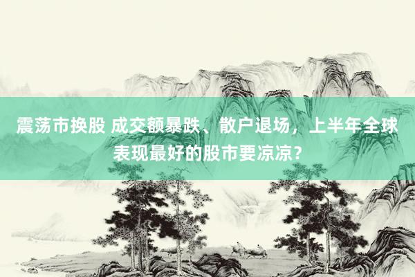 震荡市换股 成交额暴跌、散户退场，上半年全球表现最好的股市要凉凉？