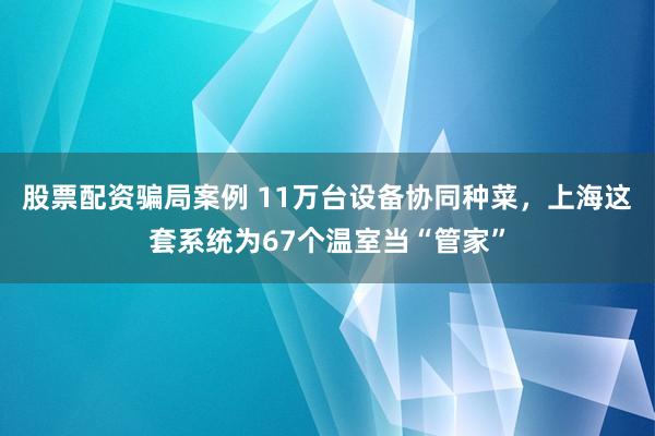 股票配资骗局案例 11万台设备协同种菜，上海这套系统为67个温室当“管家”