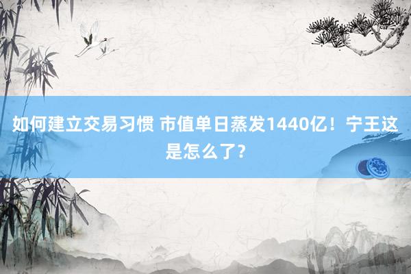 如何建立交易习惯 市值单日蒸发1440亿!宁王这是怎么了?